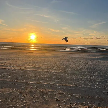 Maison Neuve Proche Et Commerces